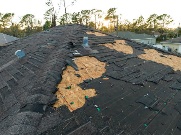 Best Roof Insulation Installation  in Cullowhee, NC